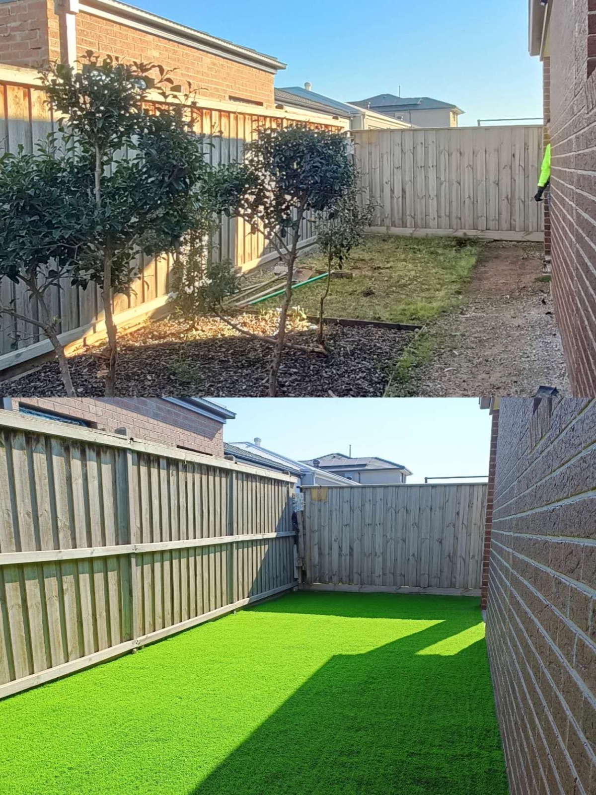 Weedy backyard cleared and finished with artificial grass along the fence line.