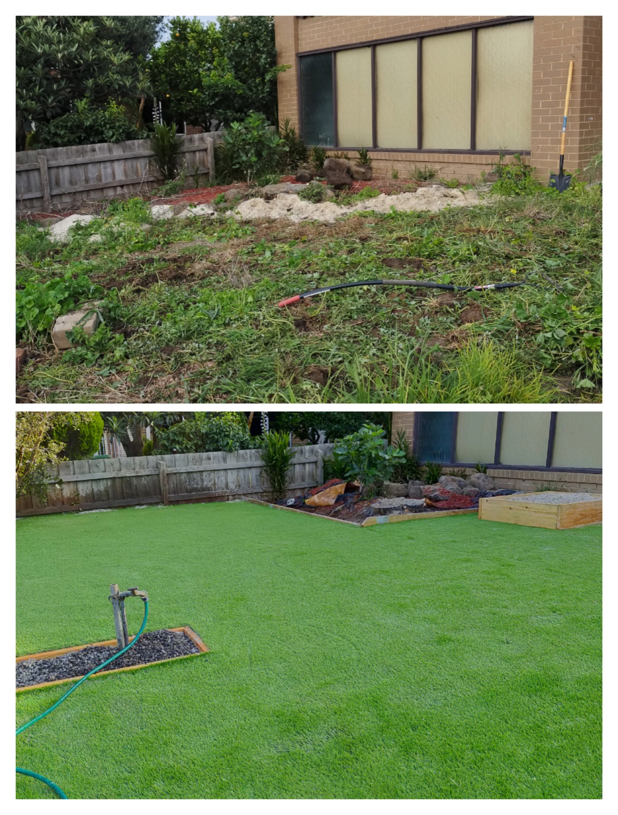 Barren backyard soil transformed into fresh green turf lawn.